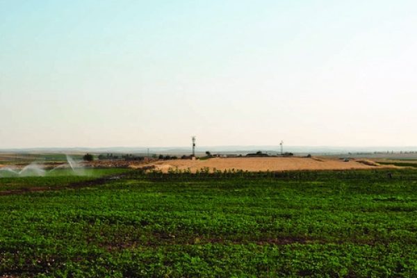 View-of-Tasli-Tepe-Settlement-from-East-Tasli-Tepe-Yerlesiminin-Dogudan-Goeruenuemue-Photo-1 copy